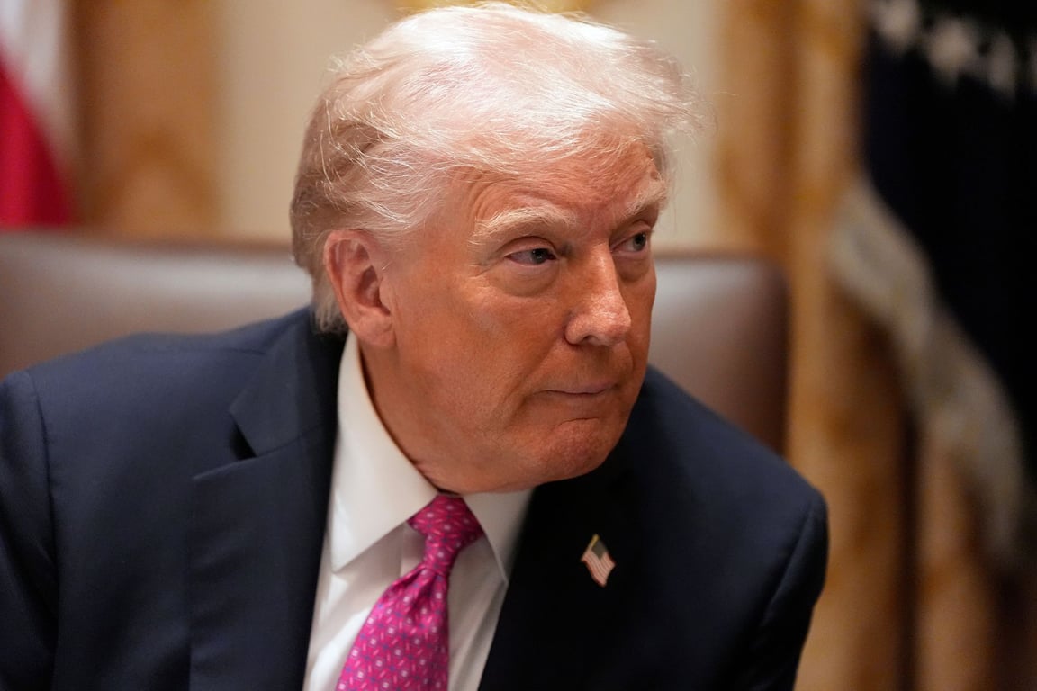 "Trump by zasloužil čestné občanství." AfD opírá svůj plán o tah s Gazou