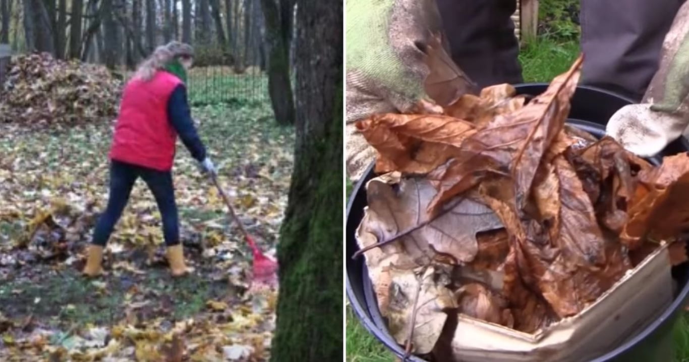 Shrabané listí patří k největším podzimním pokladům. Kdo ho správně využije, promění tím celou zahradu
