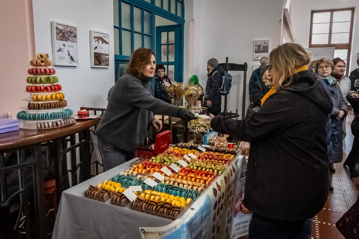 Plzeň v listopadu ožije francouzskou kulturou na festivalu Bonjour Plzeň