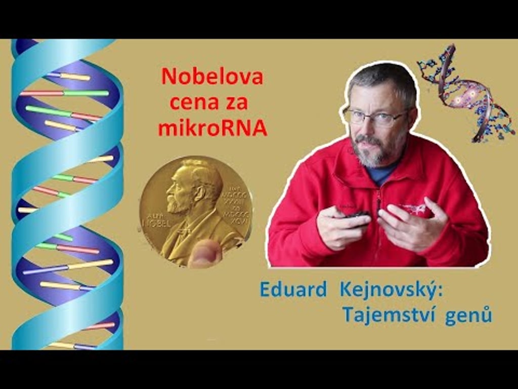 Video k článku ZDE