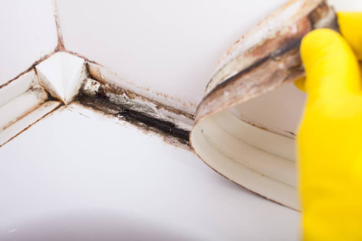Plíseň už doma neřeším chemií. Dvě obyčejné ingredience ji zvládnou rychleji a lépe