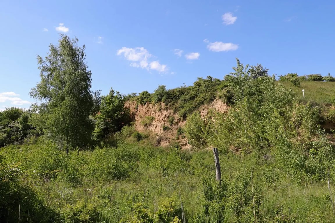 Navštívil jsem všechny kontinenty, abych zjistil, že ráj je jen jeden. Tohle místo jižní Moravy je ze všech nejkrásnější