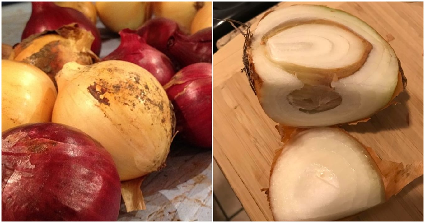Kvůli špatnému skladování může cibule ztratit čerstvost během chvilky. Stačí jedna přehlédnutá chyba