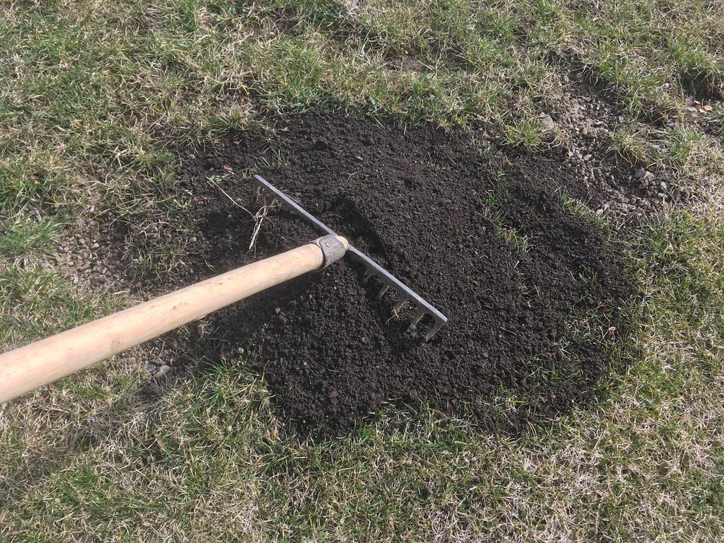 Zasypte svůj trávník ještě teď správnými pomocníky. I bez chemie si na jaře budete gratulovat