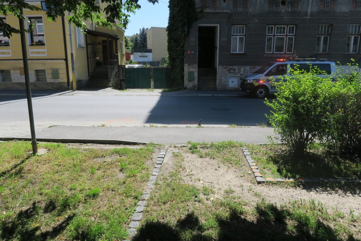 Řidič v Jablonci srazil psa a ujel. Hledá ho policie