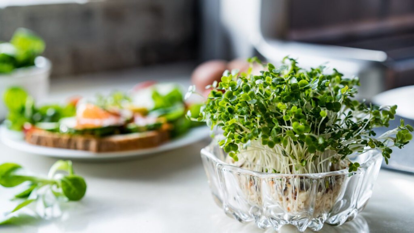 Možné kontraindikace a opatrnost