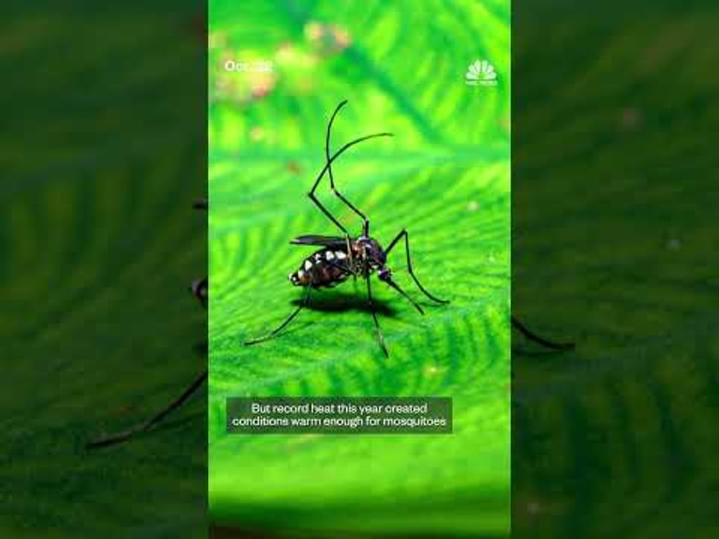 Video k článku ZDE