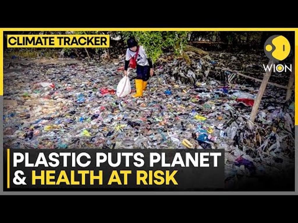 Video k článku ZDE