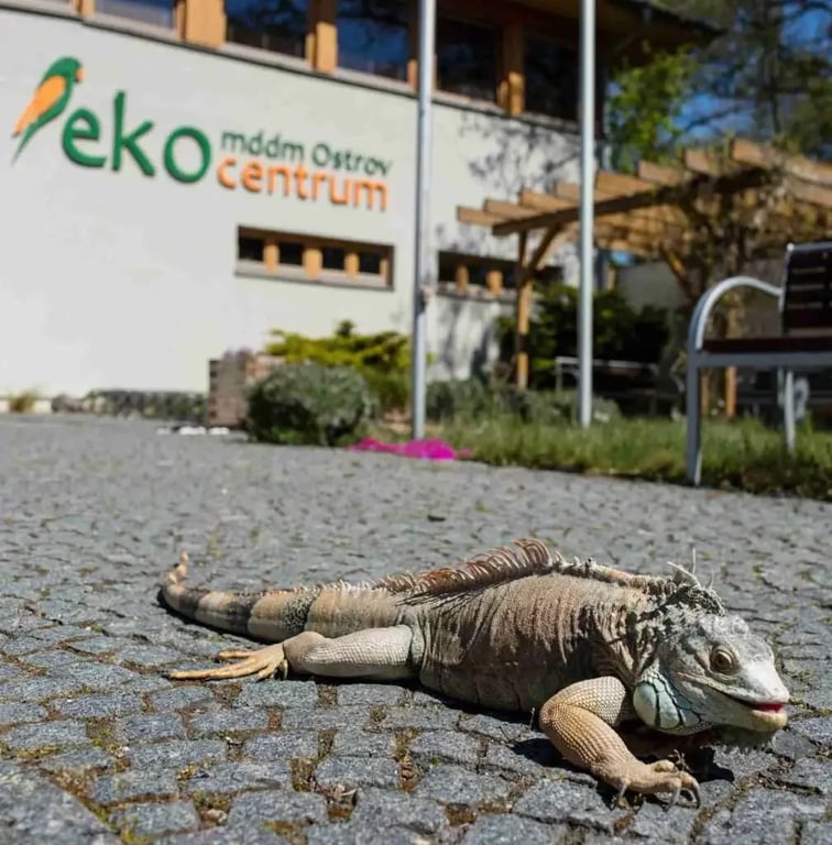 Ostrov chystá modernizaci Ekocentra za 21 milionů Kč, přibude moderní učebna