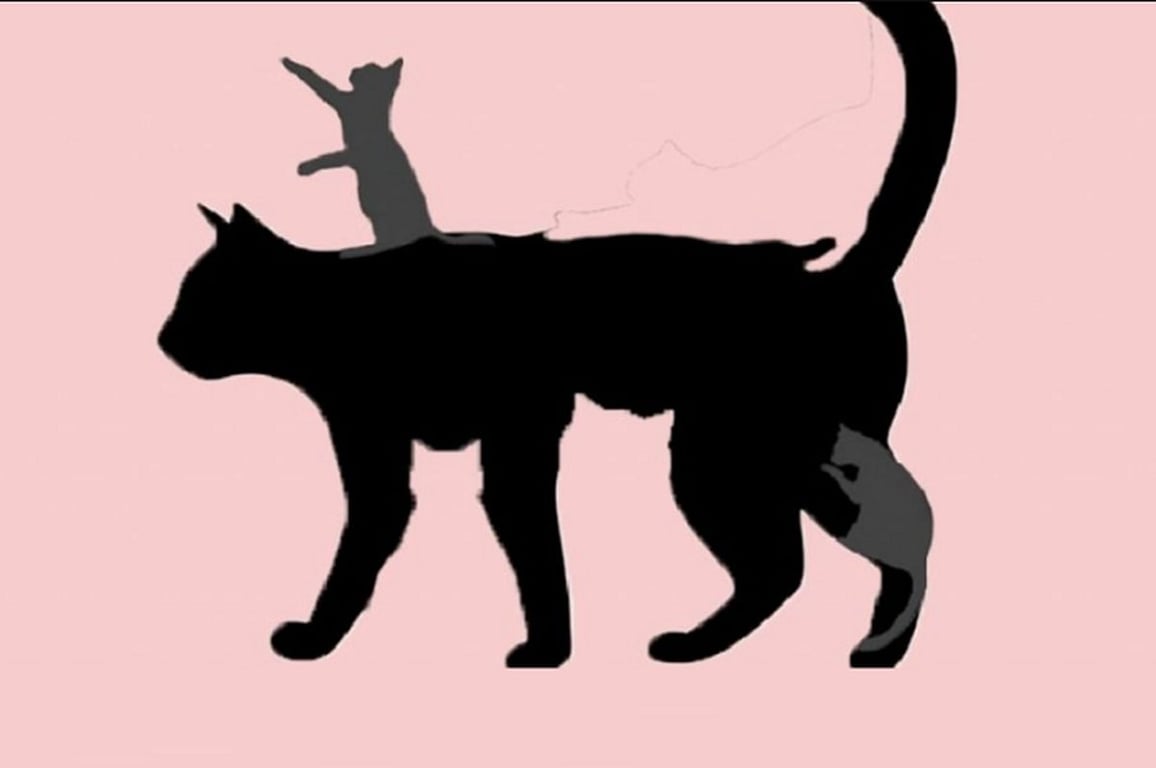 Myslíte si, že jste dospělí? Kočičí test prozradí, kolik dětského světa ve vás ještě zůstalo