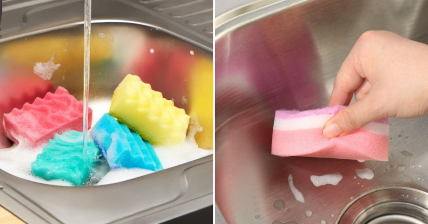 Různé barvy houbiček nejsou náhodné. Skrývají důvod, který většina lidí vůbec nezná