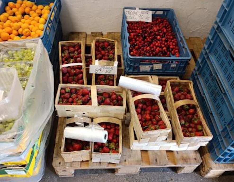 Polské jahody byly plné pesticidů. Limit překročily jedenáctkrát