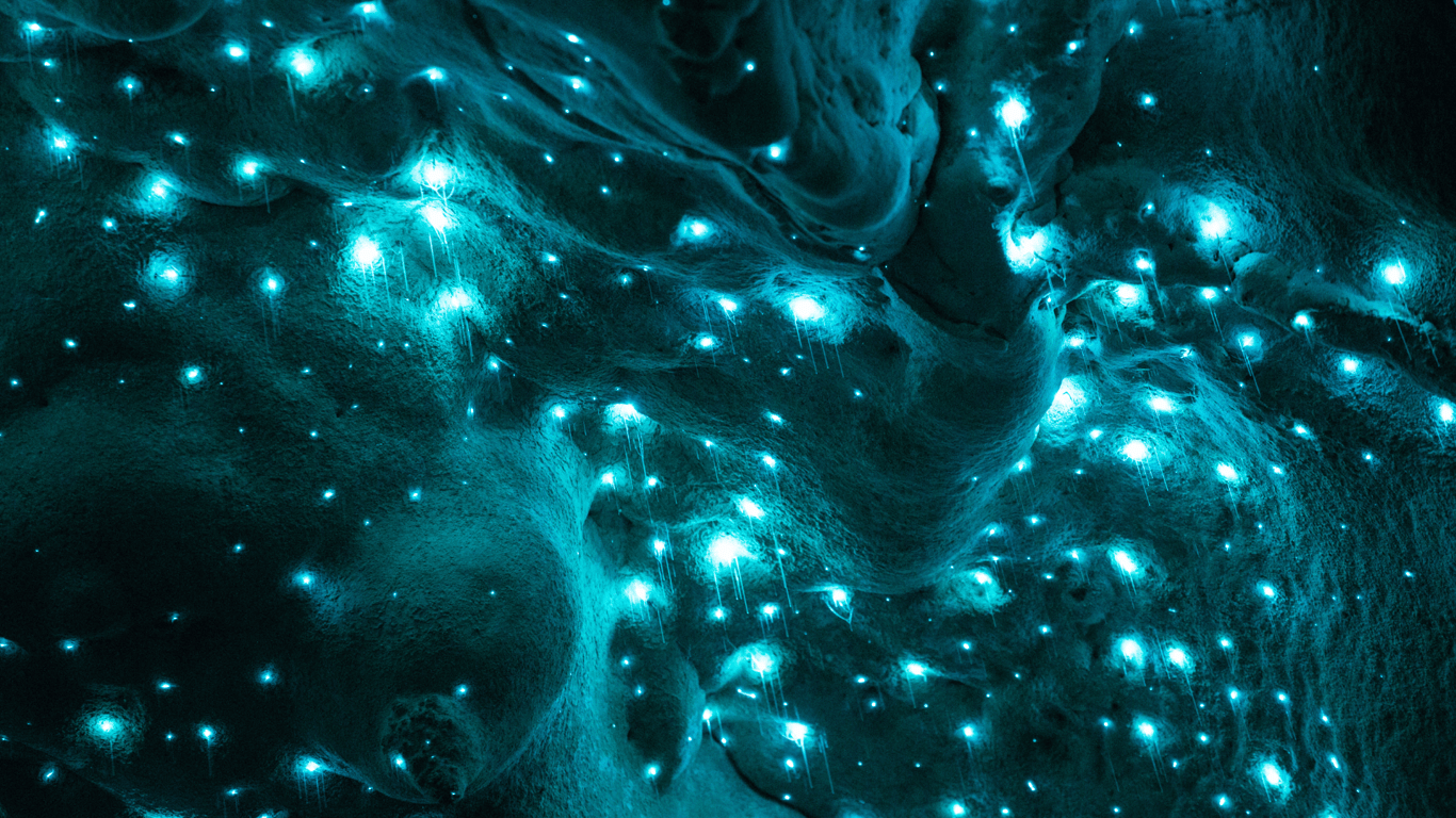 Hvězdy pod zemí: Jeskyně Waitomo a záře, která klame smysly