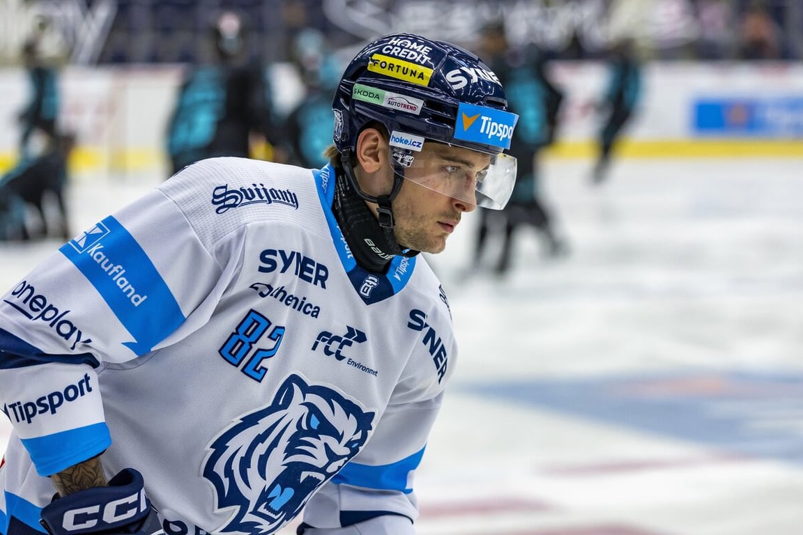 Liberecký Tygr Procházka dostal za faul na Kňažka dvouzápasový trest