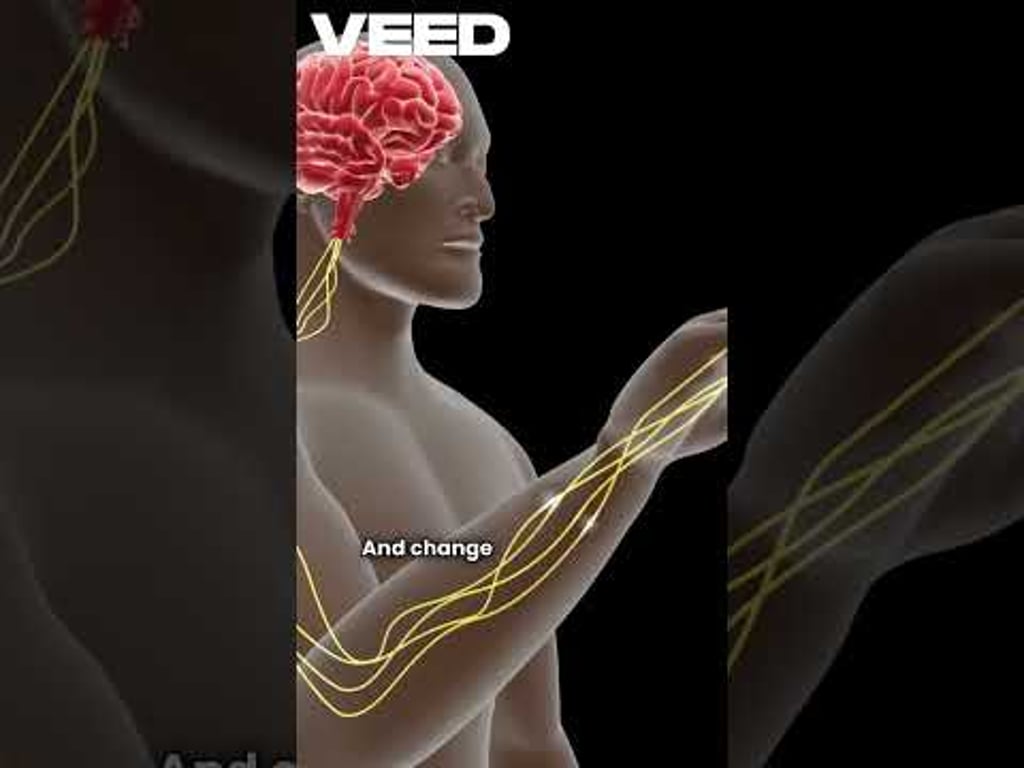 Video k článku ZDE