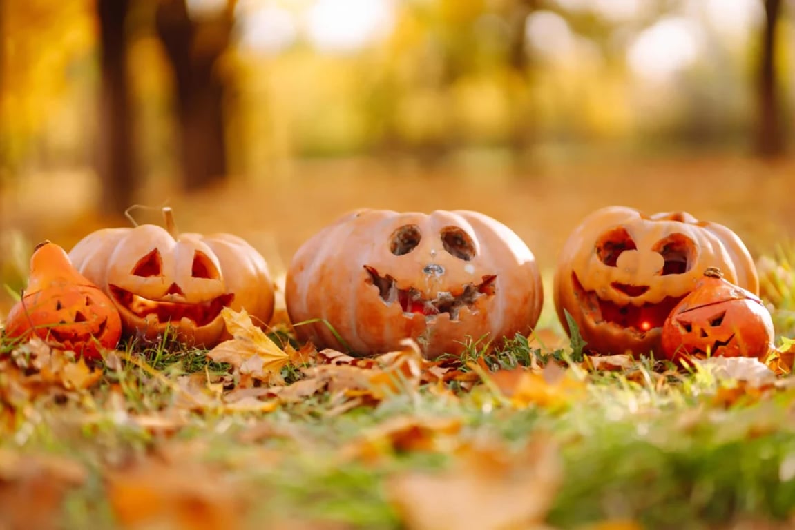 Jak vyřezat halloweenské strašidýlko krok za krokem. Tohle vám bude závidět celé okolí