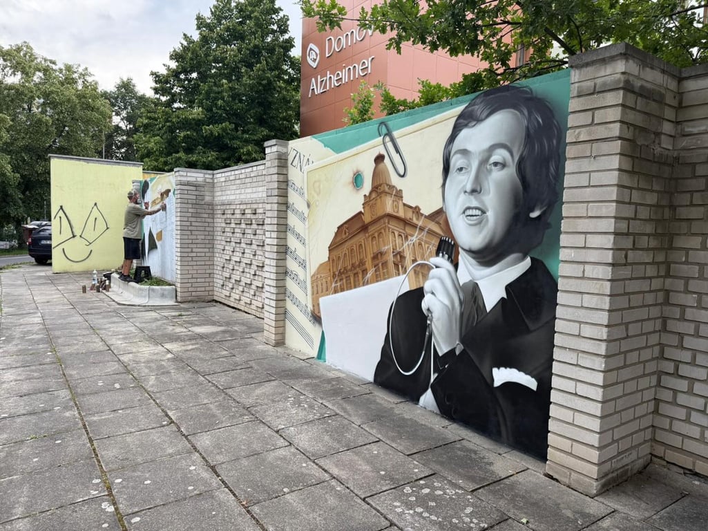 Streetart, discgolf, voliéry nebo mobilní kino. Jaké investice si lidé v kraji odhlasovali?