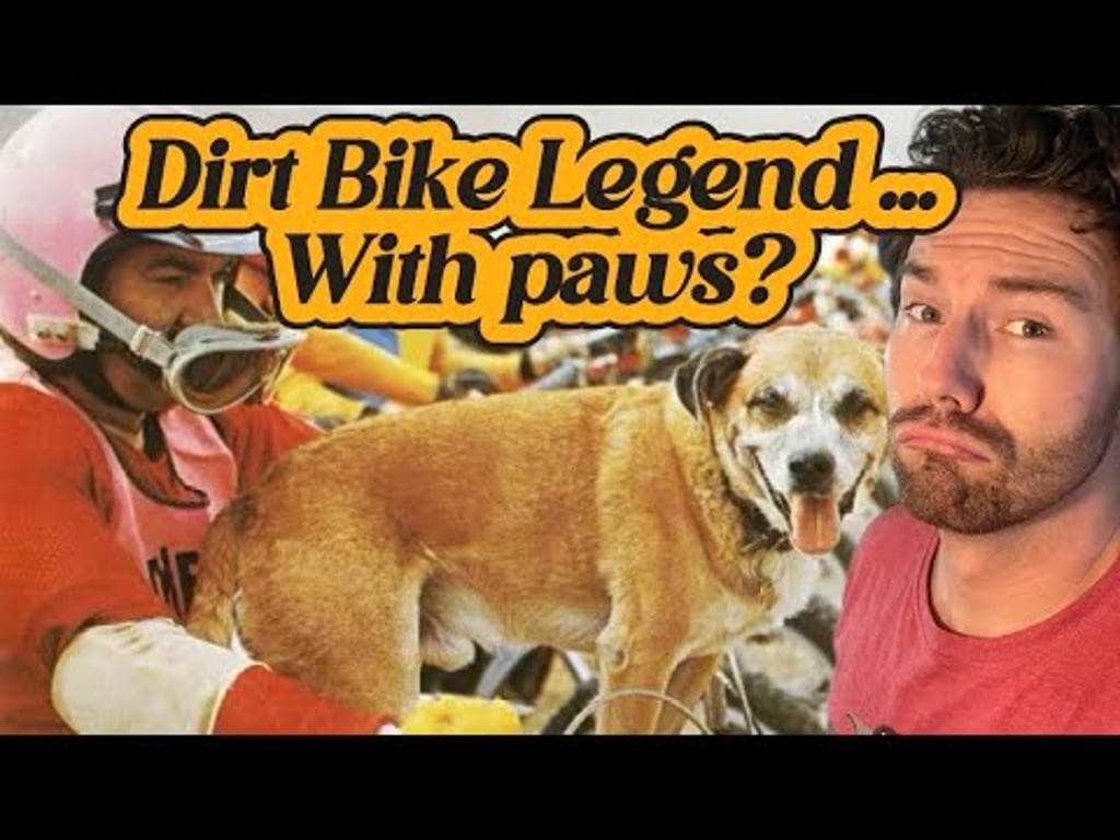 Video k článku ZDE