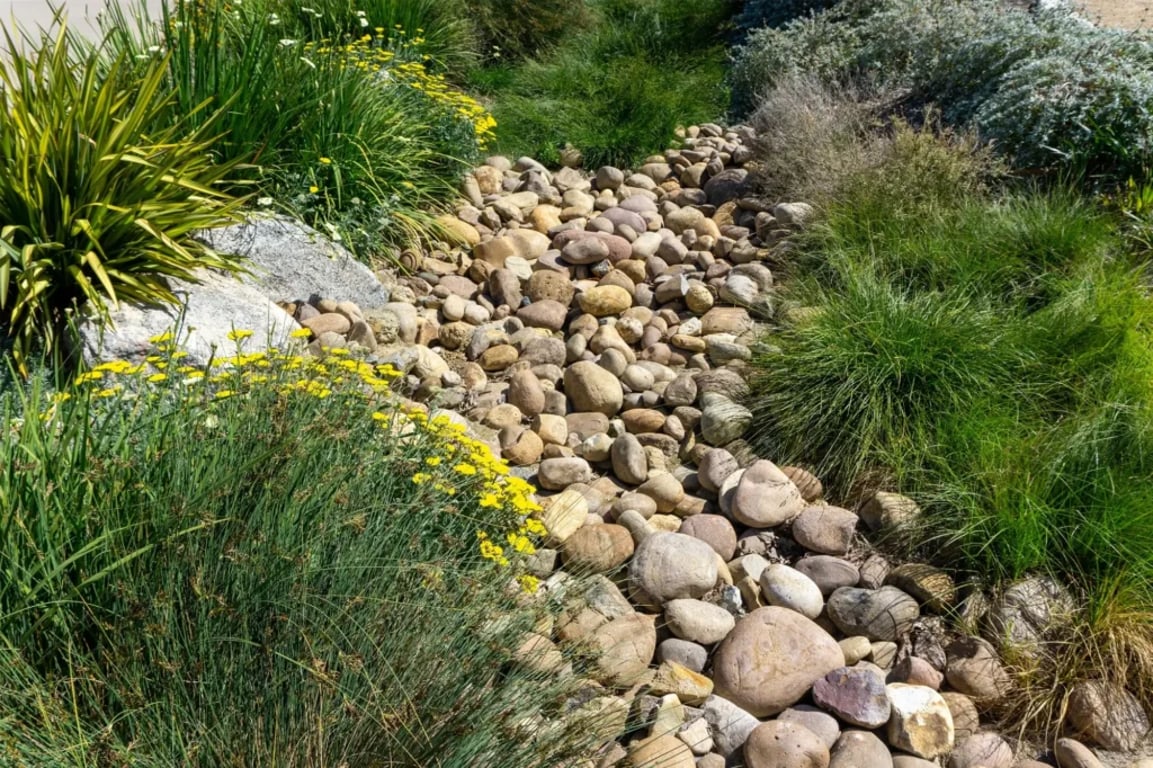 Suchý potok je nový hit českých zahrad. Podzim je ideální čas, kdy ho založit