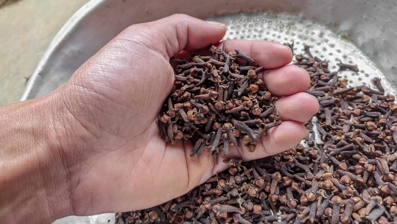 Hřebíček je drobný, ale účinky má překvapivě silné. Pravidelné žvýkání spouští změny v těle od hlavy až k patám