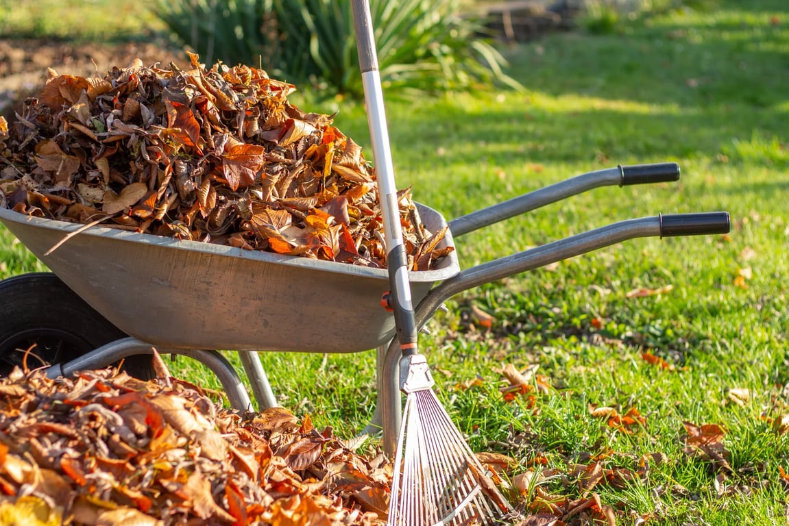 Podzimní údržba, kterou Češi podceňují: Jediný krok rozhodne, jestli vám zahrada přežije zimu.