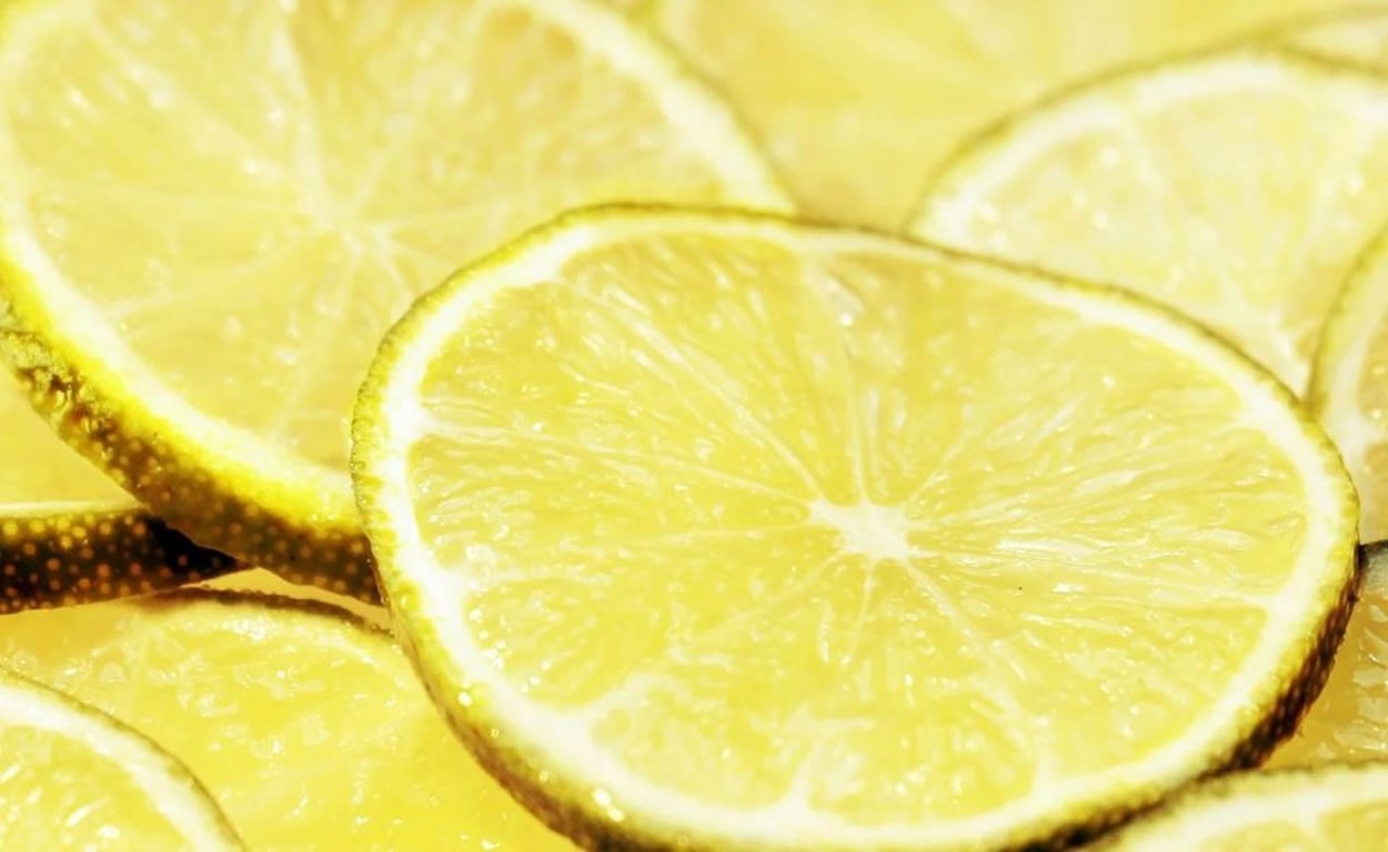Citronová hádanka, kterou zvládnou jen géniové. Najděte odlišný plátek a zařaďte se k vyvoleným