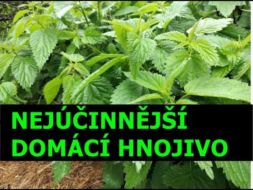 Video k článku