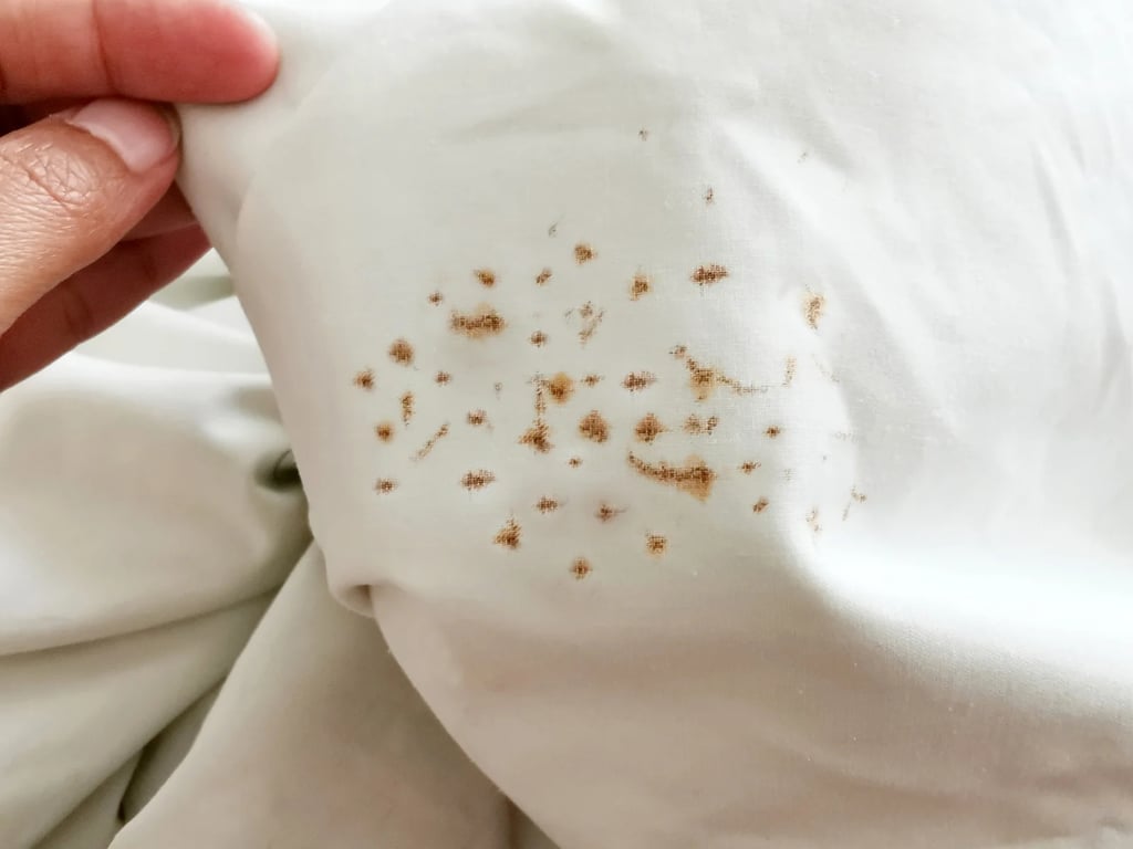 Chorvatsko slibovalo ráj. Češi dostali nejhorší pokoj v hotelu, prý jen kvůli své národnosti.