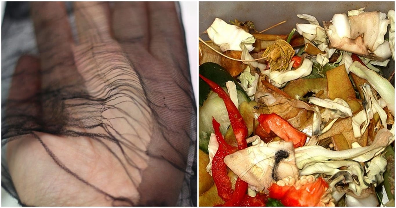 Punčocha, trocha kuchyňského odpadu a pár minut práce. Zahrada po tomhle triku roste neuvěřitelným tempem