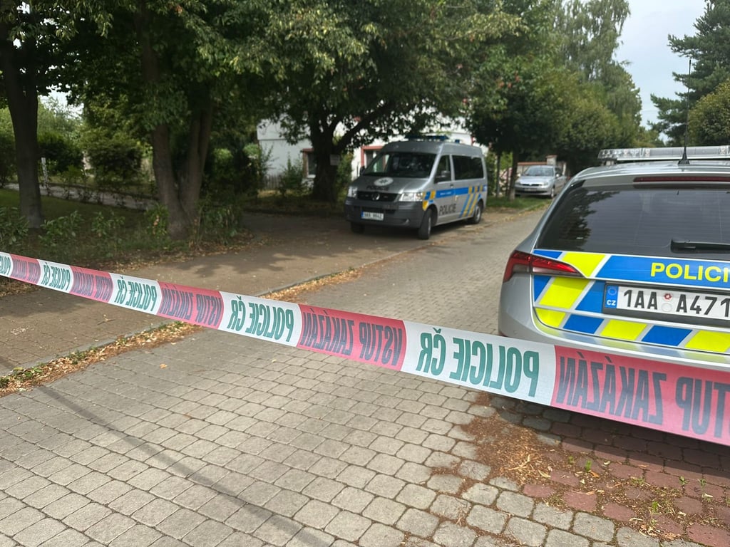 "Drogy udělaly, co udělaly," přiznala matku vraždu novorozeňat. Dostala 20 let