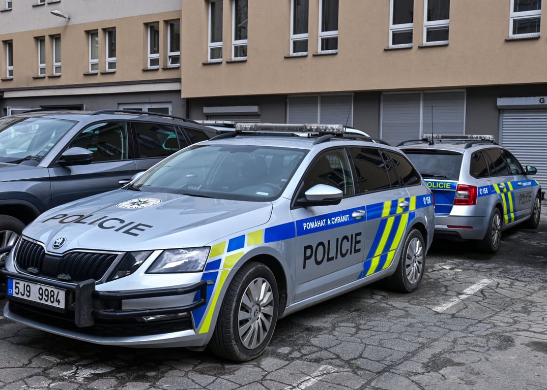 Ženy se popraly kvůli sražení psa a krádeži dřeva. Policie hledá svědky napadení