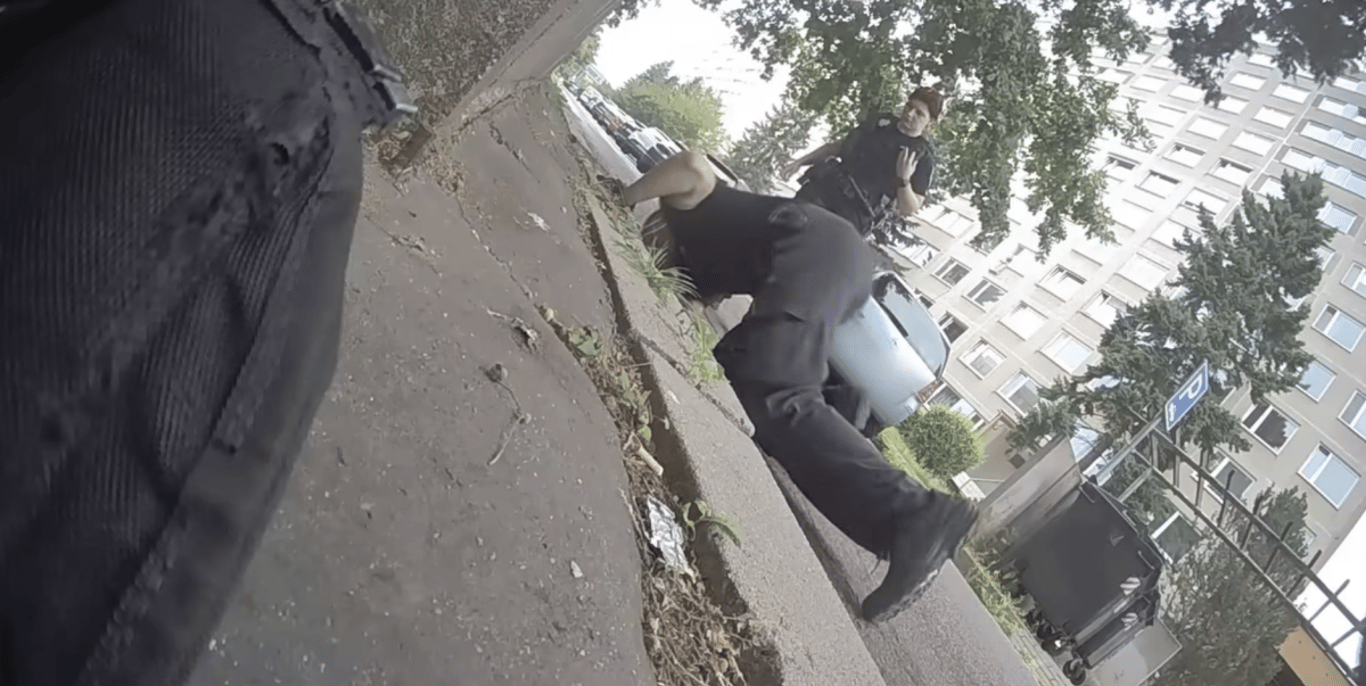 VIDEO: Kachňata propadla kanálem. Zpět k matce jim pomohli strážníci