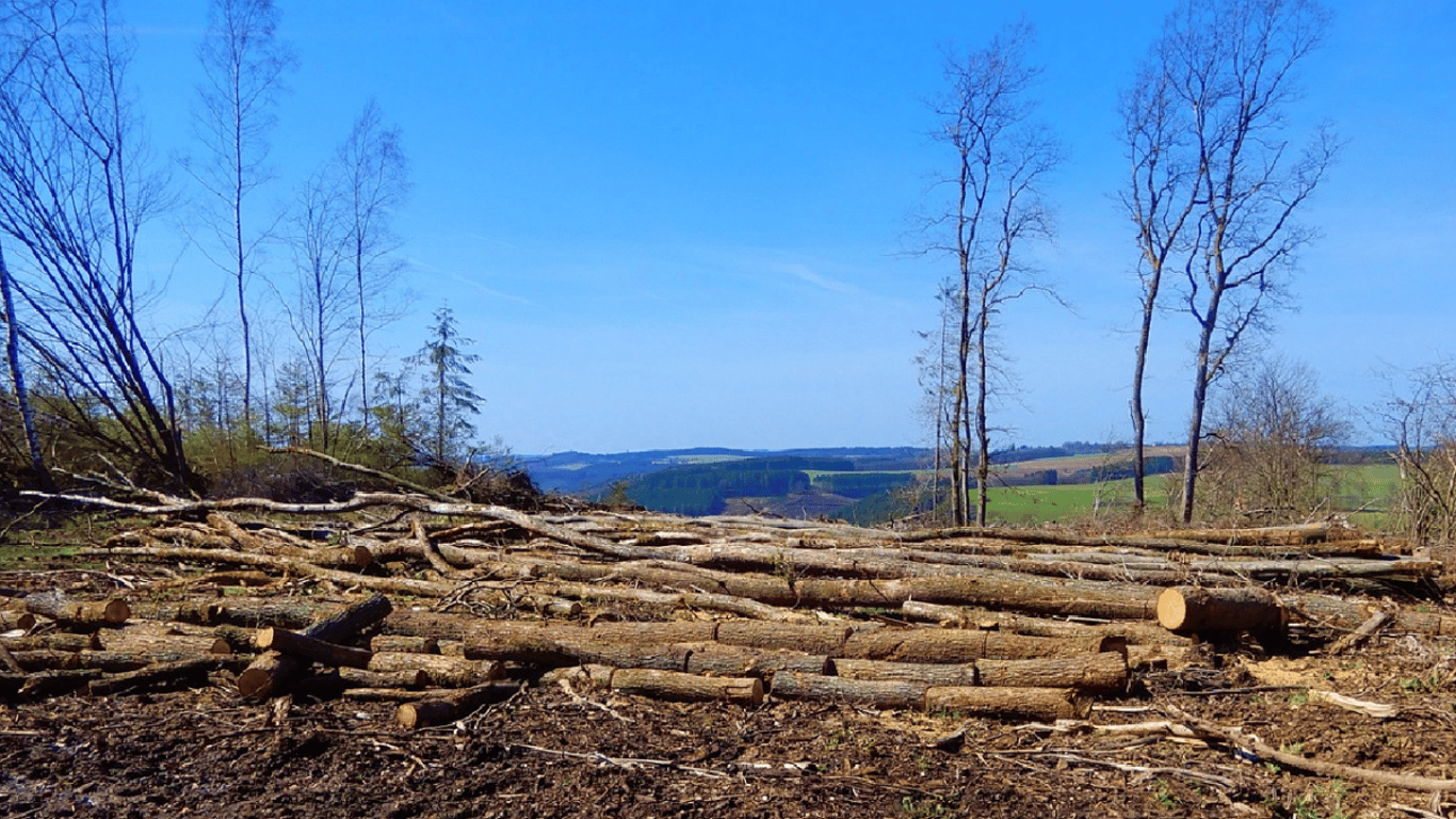 Výborný kritizuje Brusel, chce odklad a zjednodušení nařízení o odlesňování