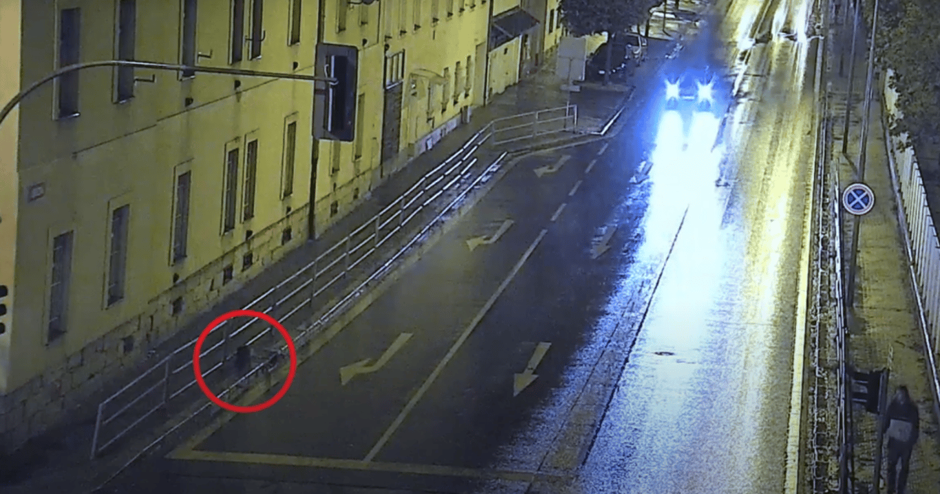 Bobří turistika v západočeské metropoli, během tří dnů se ulicemi toulali tři bobři