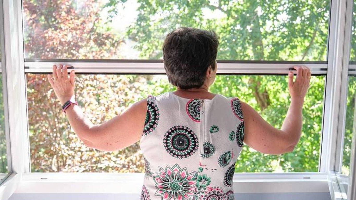 Zbavte se nepříjemných komárů, a to jednou pro vždy: Vyzkoušejte účinné tipy, které může využít opravdu každý