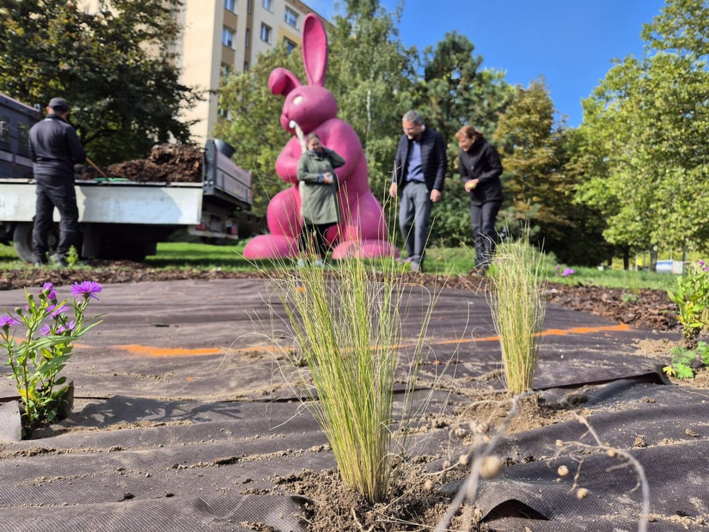 Slavného růžového králíka obklopí květiny, záhonům budou vévodit růže