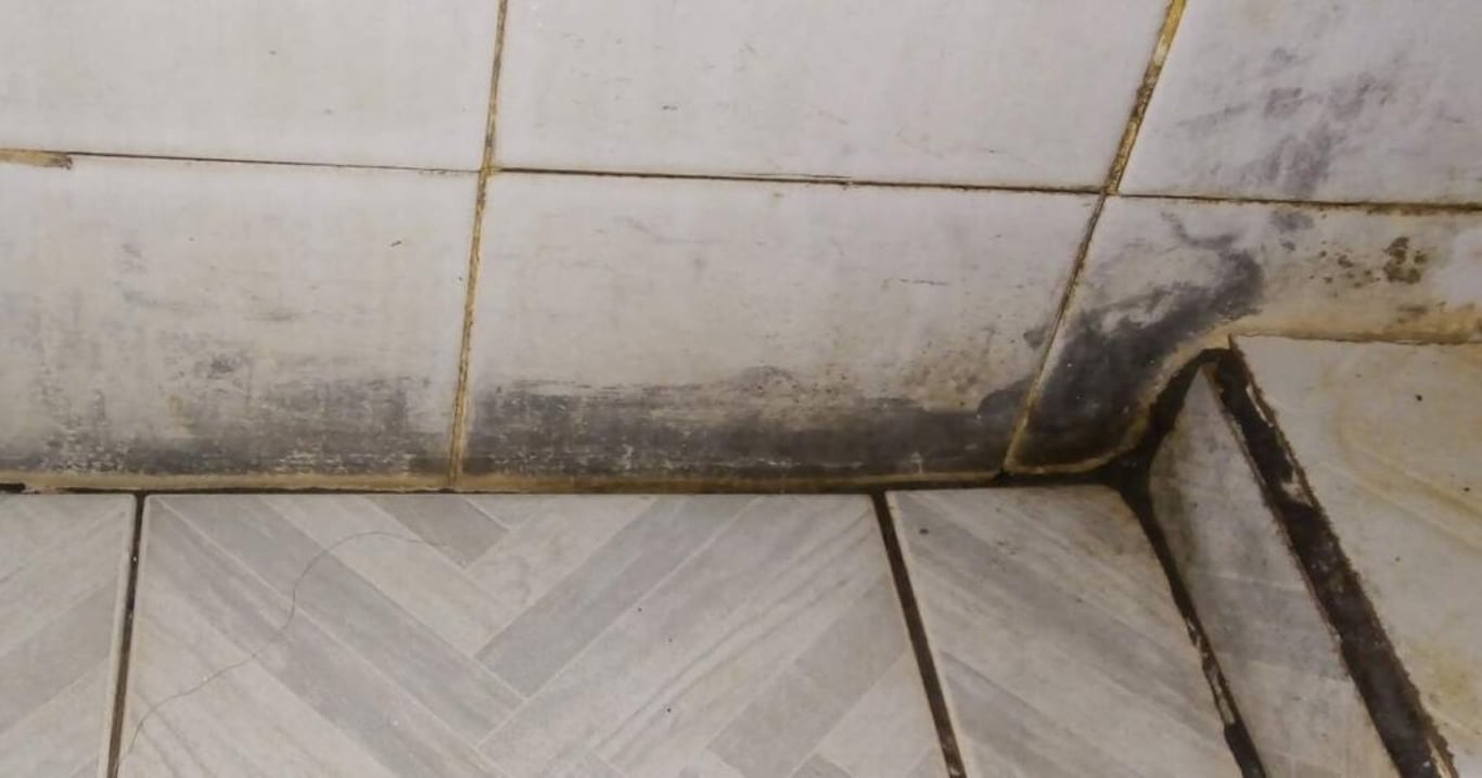 Účinná ingredience za 10 korun: Každý ji má doma, aniž by věděl, že vás dokáže zbavit plísně v koupelně