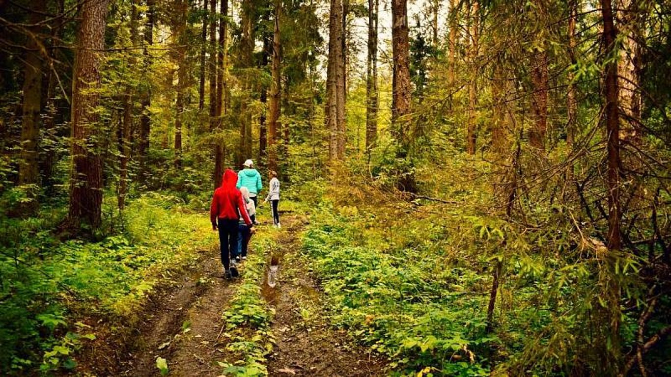 Využijte léto a naučte své děti tomu správnému chování v lese