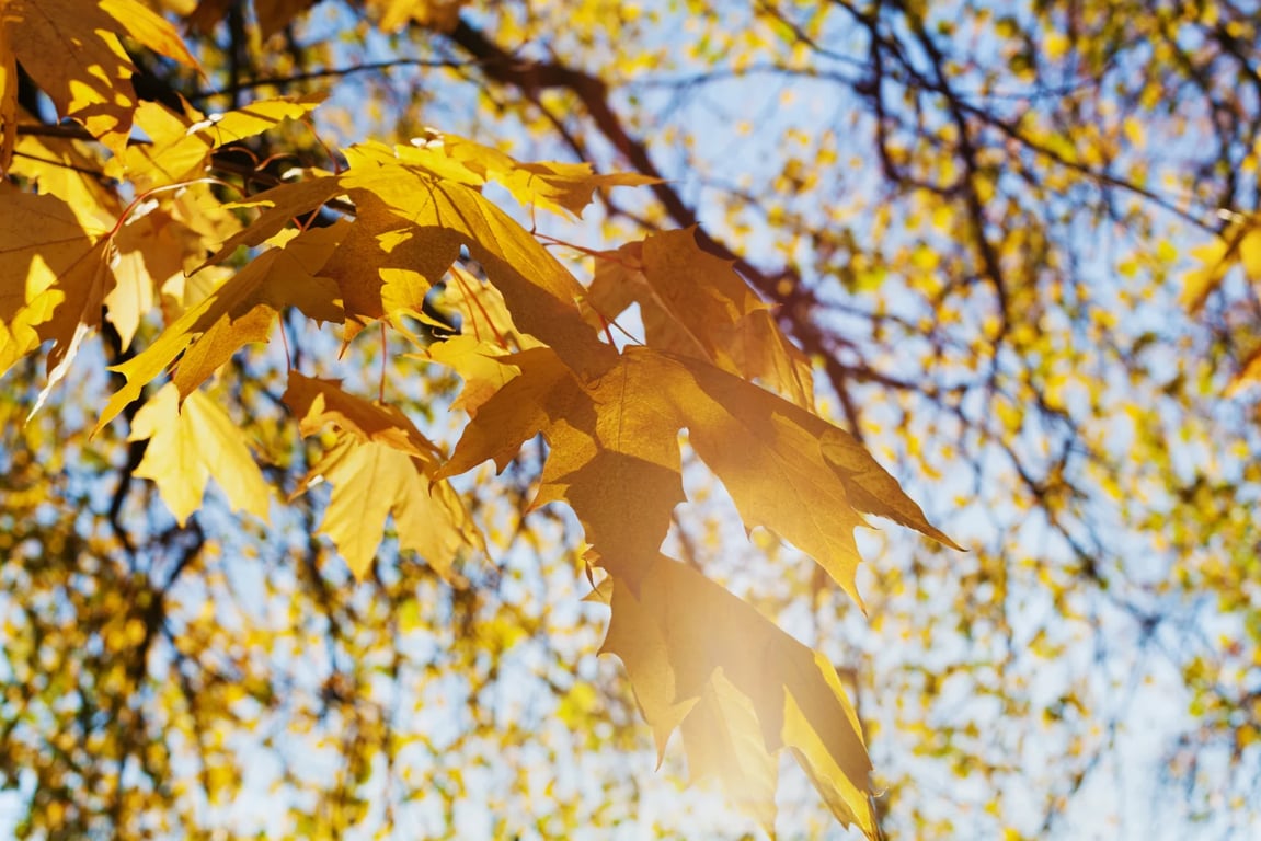 Až 17 stupňů a přesto žádná idylka. Českem se převalí déšť, vítr i hustá mračna.