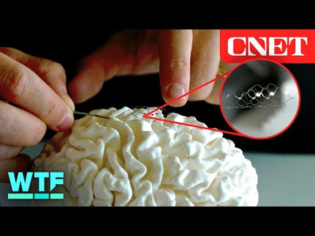 Video k článku ZDE