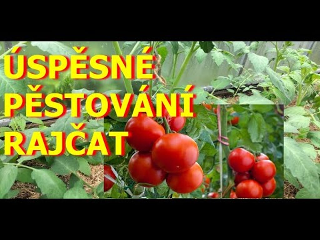 Video k článku