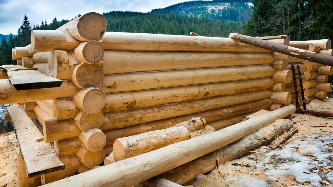 Rychlá stavba srubu v lese