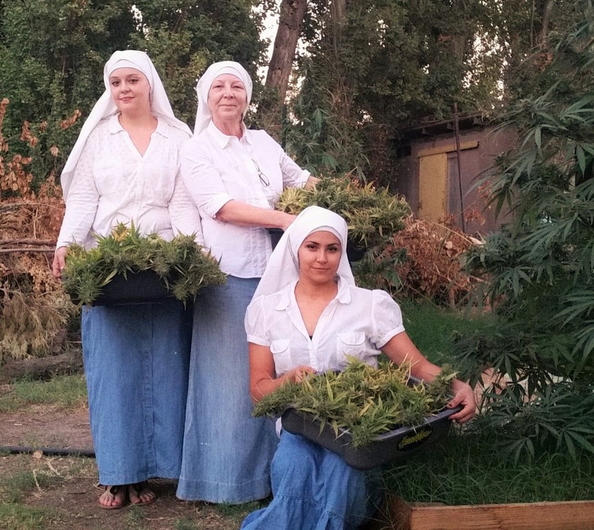 S jointem v puse léčí a boří stereotypy. Jeptišky rozjely byznys s trávou