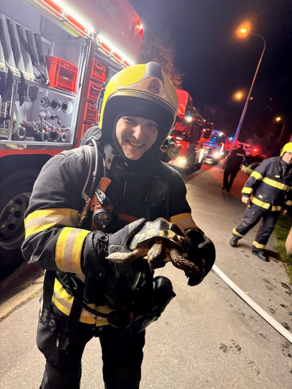 Z požáru na Černém Mostě zachránili hasiči želvu