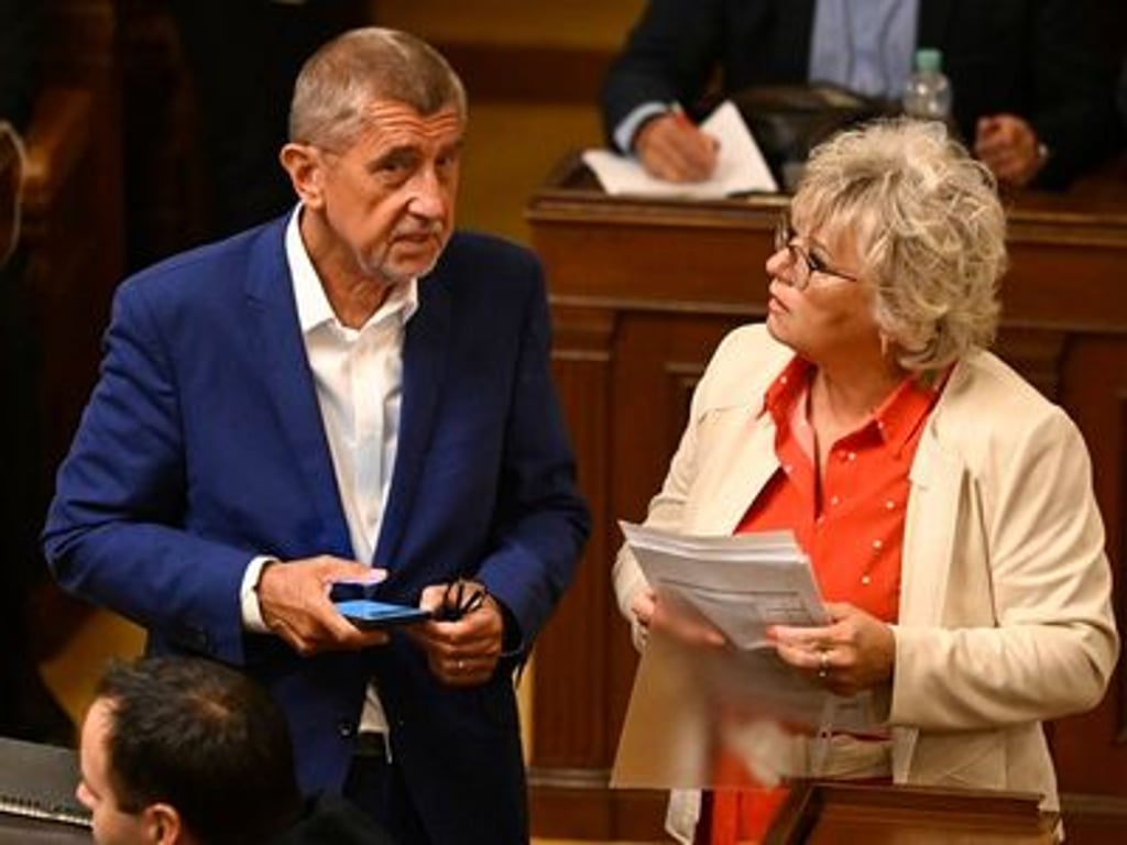 Balaštíková nebude na kandidátce, chtěla si ve sporu s manželem objednat zabití psa