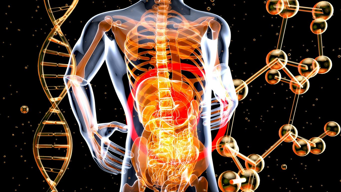 Historický průlom: Pacient přežil půl roku s geneticky upravenými prasečími játry