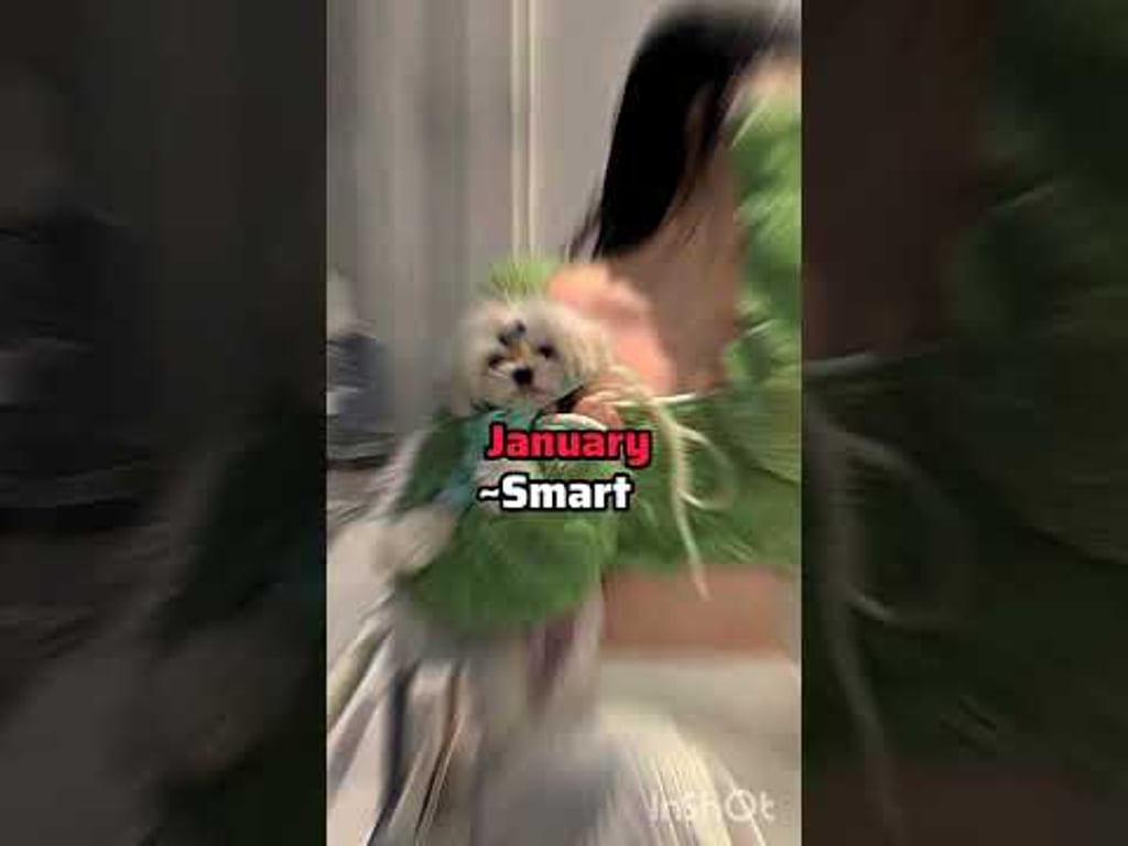 Video k článku ZDE