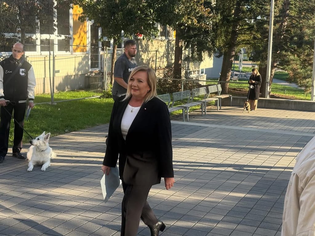 Jihomoravané poslali do Sněmovny 24 zástupců. Nejvíce křesel získalo ANO