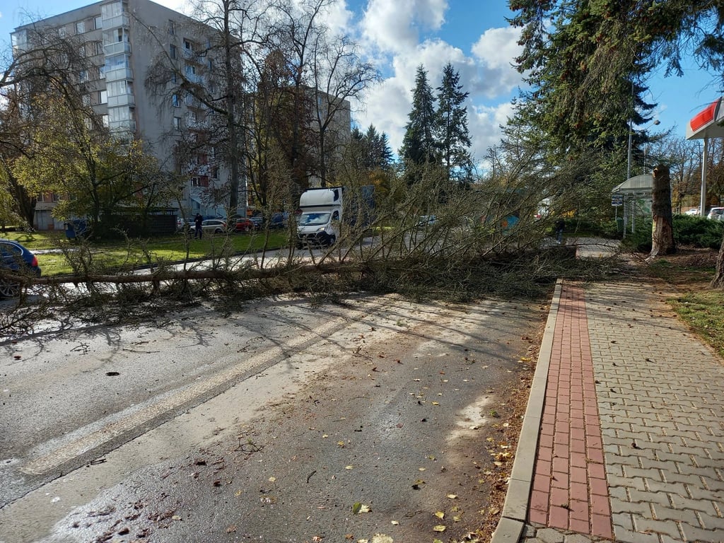 Větrné počasí potrápilo východ republiky. Hasiči měli desítky zásahů