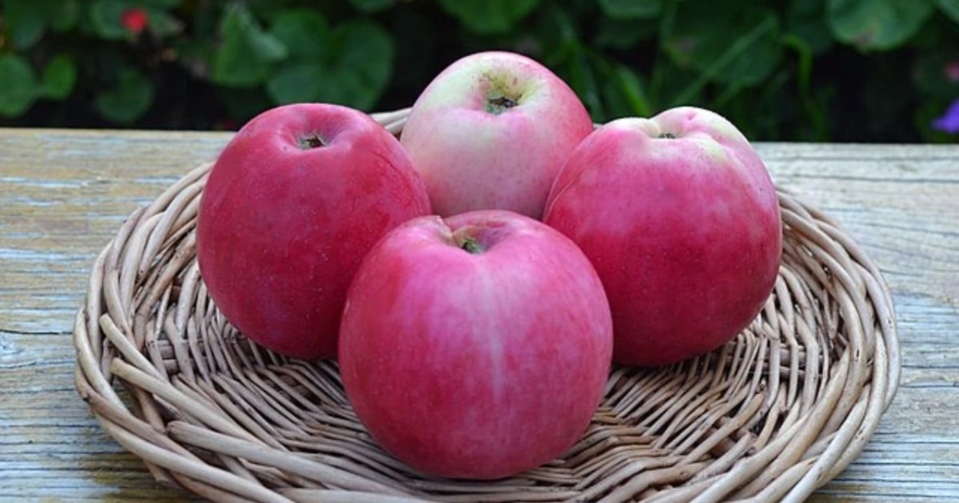 Tuhle potravinu ženy často přehlížejí. Přitom právě ona dokáže utišit problém, který jim tiše ničí každodenní život